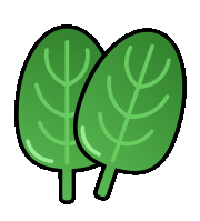 FS25 Spinach ico.png