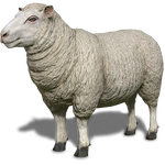 FS19 Animal-SheepWhite.png