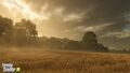 Sunrise as seen from wheat field