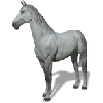 FS19 Animal-HorseGray.png
