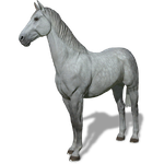 FS19 Animal-HorseGray.png