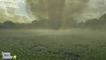 The destroyed spinach field after twister