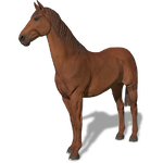 FS19 Animal-HorseChestnut.png