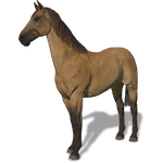 FS19 Animal-HorseDun.png