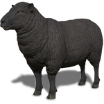 FS19 Animal-SheepBlack.png