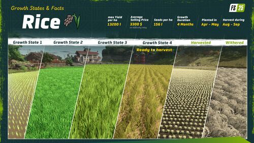 FS25 Rice Growth State.jpg