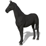 FS19 Animal-HorseBlack.png