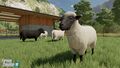 FS22-Sheep.jpg