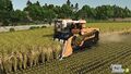 Harvesting rice with Iseki HJ6130 rice harvester