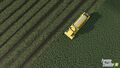 Peas: Farming Simulator 25 - The Farming Simulator Wiki