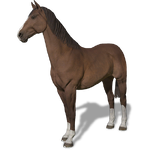 FS19 Animal-HorseSealBrown.png